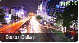 เยี่ยมชม Gallery